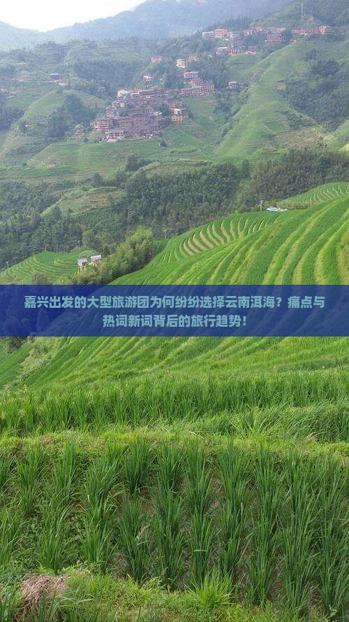 嘉兴出发的大型旅游团为何纷纷选择云南洱海？痛点与热词新词背后的旅行趋势！