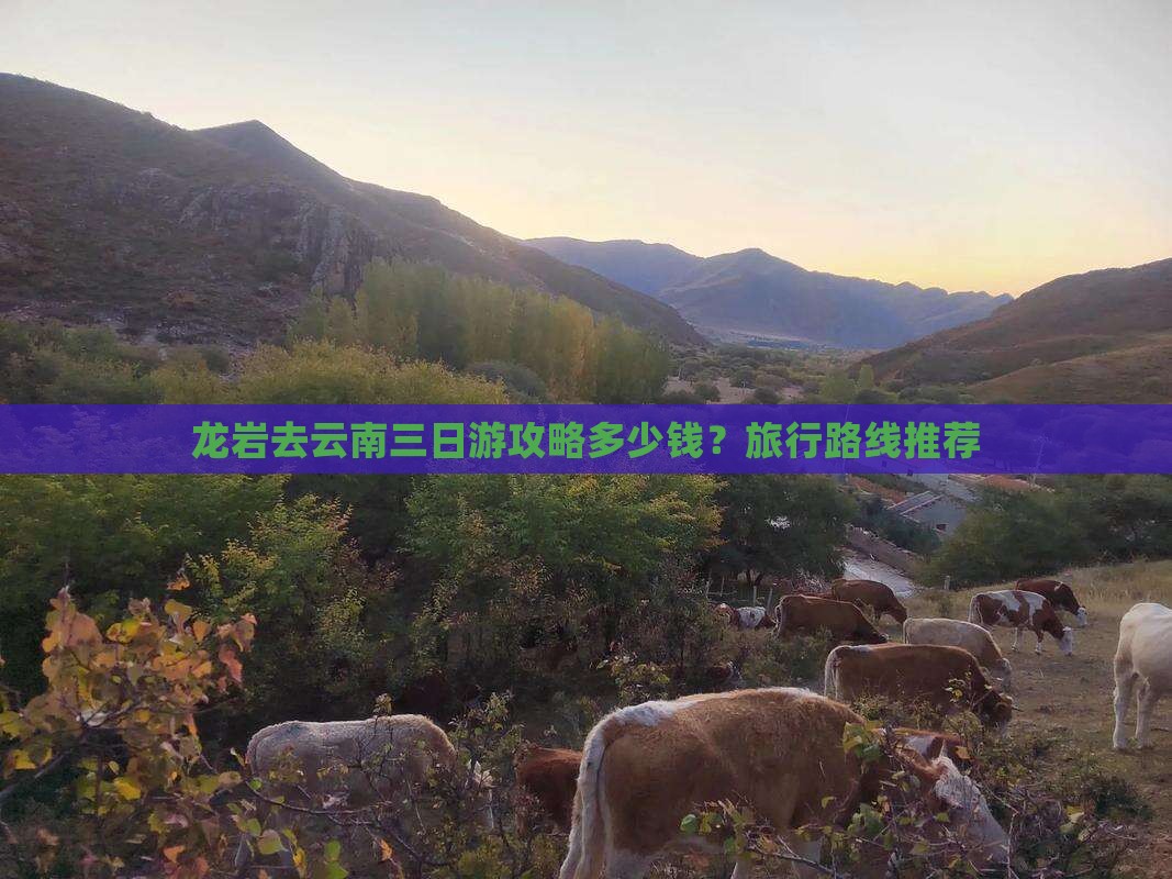 龙岩去云南三日游攻略多少钱？旅行路线推荐