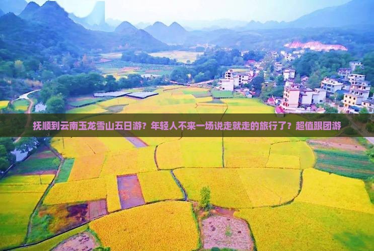 抚顺到云南玉龙雪山五日游？年轻人不来一场说走就走的旅行了？超值跟团游