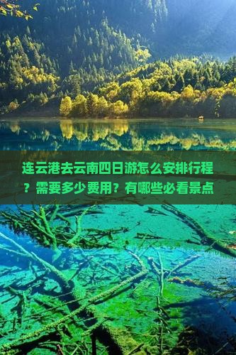 连云港去云南四日游怎么安排行程？需要多少费用？有哪些必看景点？