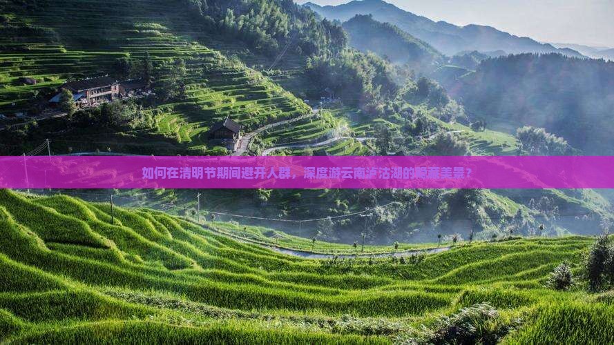 如何在清明节期间避开人群，深度游云南泸沽湖的隐藏美景？