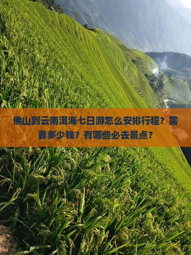 佛山到云南洱海七日游怎么安排行程？需要多少钱？有哪些必去景点？
