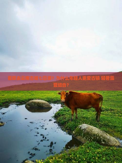 霍邱去云南古城七日游？为什么年轻人更爱古镇+轻奢露营结合？