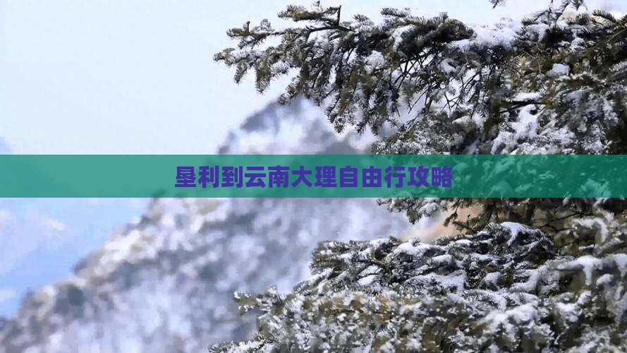 垦利到云南大理自由行攻略