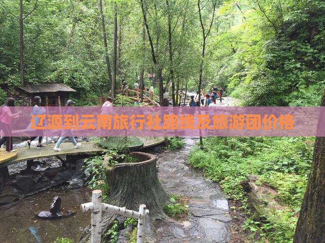 辽源到云南旅行社路线及旅游团价格