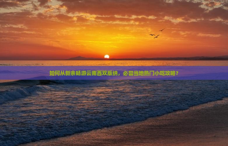 如何从新余畅游云南西双版纳，必尝当地热门小吃攻略？