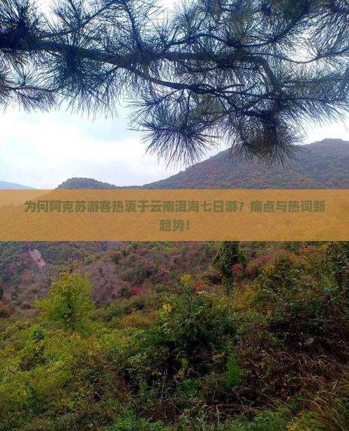 为何阿克苏游客热衷于云南洱海七日游？痛点与热词新趋势！