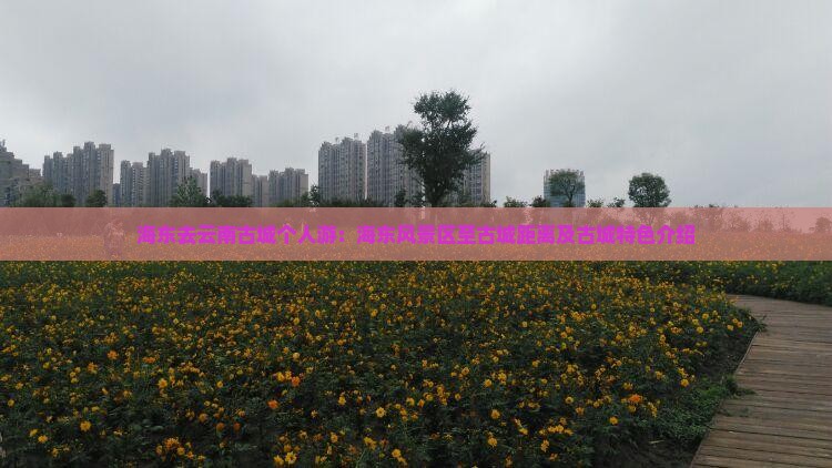 海东去云南古城个人游：海东风景区至古城距离及古城特色介绍