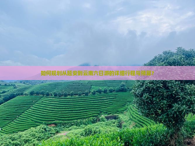 如何规划从延安到云南六日游的详细行程与预算？