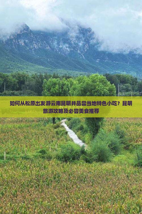 如何从松原出发游云南昆明并品尝当地特色小吃？昆明旅游攻略及必尝美食推荐