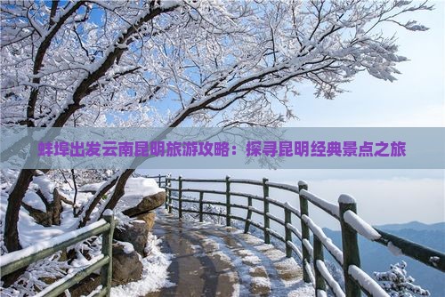 蚌埠出发云南昆明旅游攻略：探寻昆明经典景点之旅