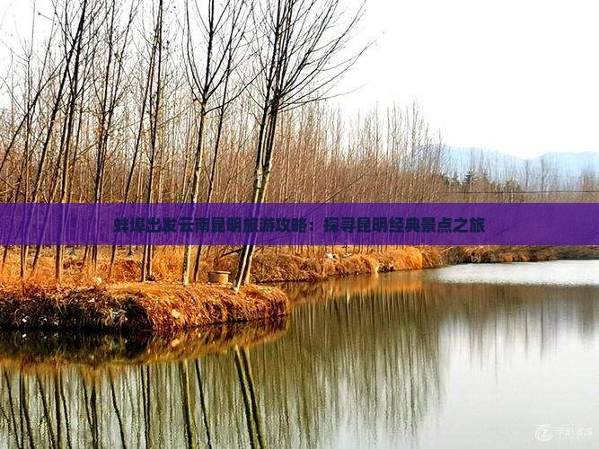 蚌埠出发云南昆明旅游攻略：探寻昆明经典景点之旅