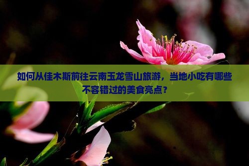 如何从佳木斯前往云南玉龙雪山旅游，当地小吃有哪些不容错过的美食亮点？