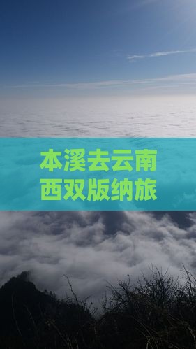 本溪去云南西双版纳旅游小吃攻略与报价大全