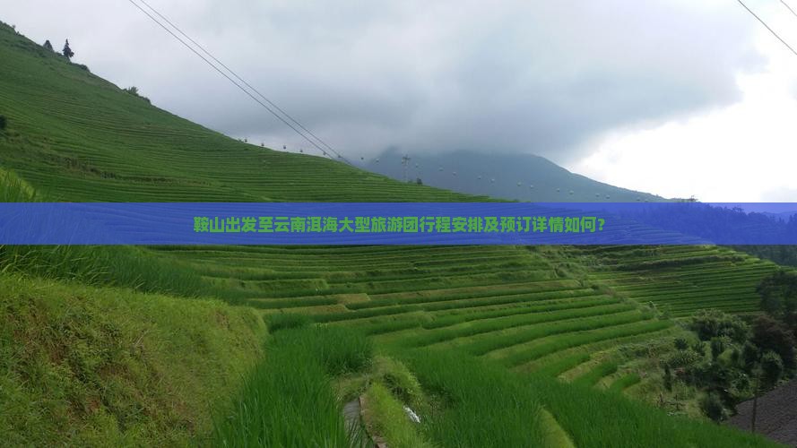 鞍山出发至云南洱海大型旅游团行程安排及预订详情如何？