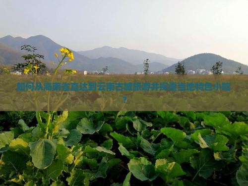 如何从海南省直达到云南古城旅游并探索当地特色小吃？