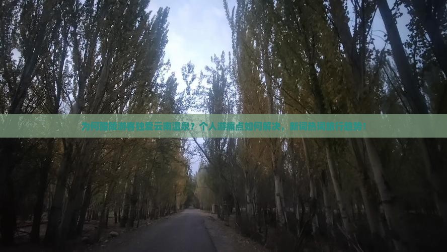 为何醴陵游客独爱云南温泉？个人游痛点如何解决，新词热词旅行趋势！