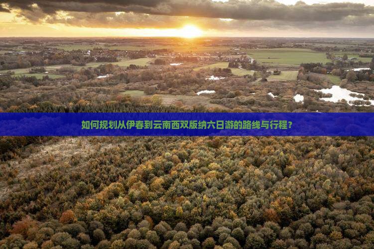 如何规划从伊春到云南西双版纳六日游的路线与行程？