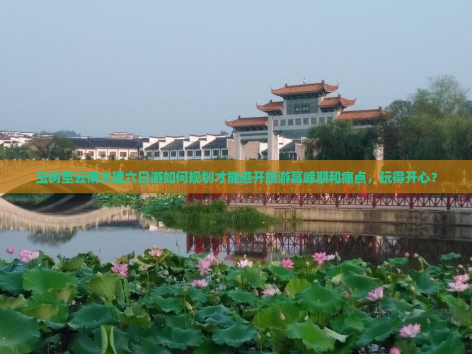 玉树至云南大理六日游如何规划才能避开旅游高峰期和痛点，玩得开心？