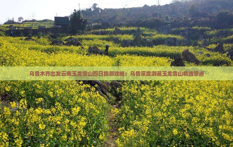 乌鲁木齐出发云南玉龙雪山四日旅游攻略：乌鲁深度游遍玉龙雪山精选景点