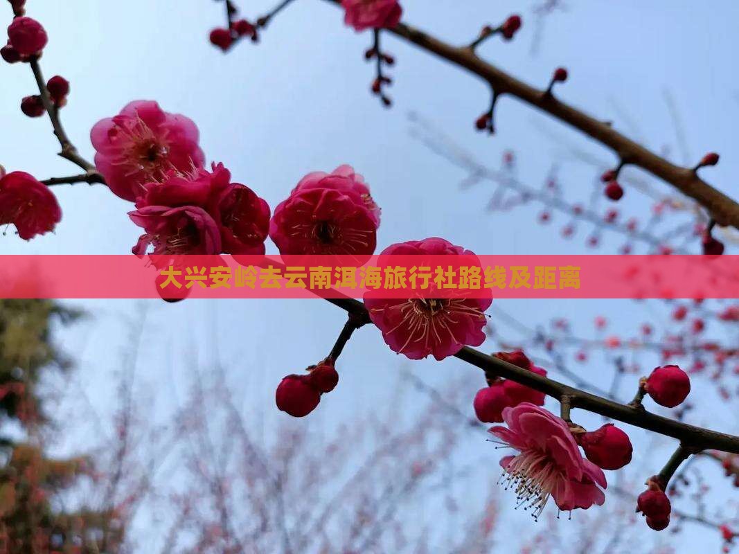 大兴安岭去云南洱海旅行社路线及距离