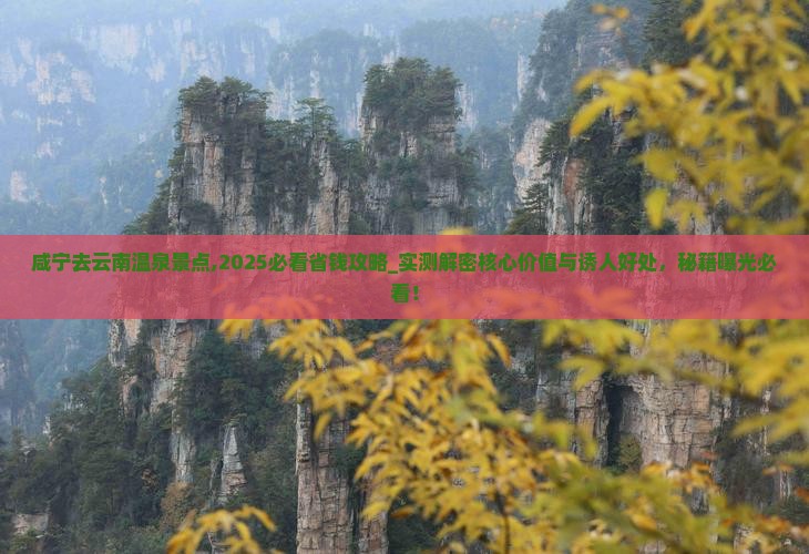 咸宁去云南温泉景点