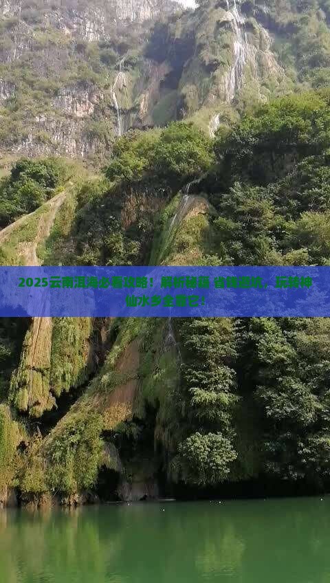 阿里去云南洱海哪里玩