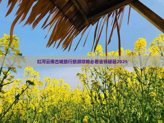 红河去云南古城大型旅游团