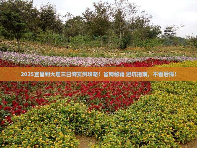 宜昌到云南大理三日游