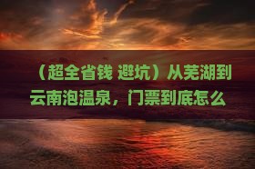 芜湖去云南温泉门票