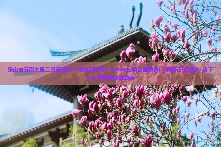 乐山去云南大理二日游