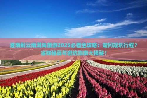 淮南到云南洱海旅游