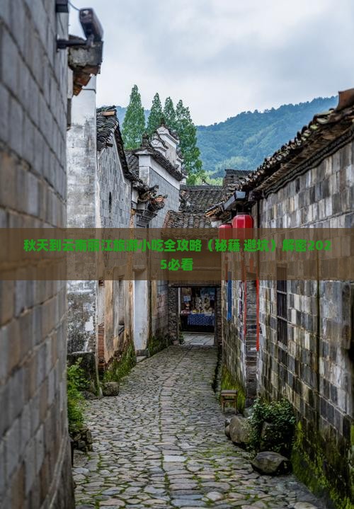 秋天到云南丽江旅游小吃