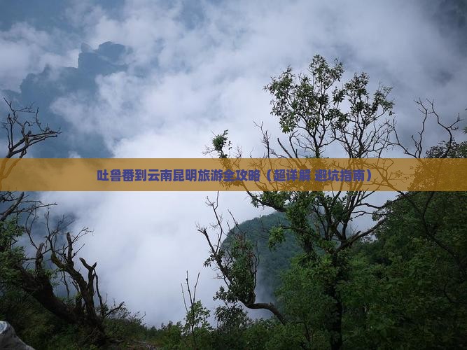 吐鲁番到云南昆明团体旅游 吐鲁番到云南昆明团体旅游