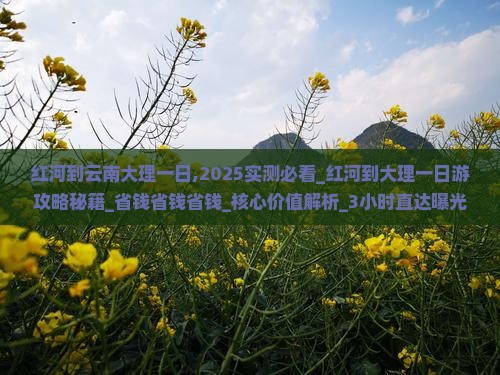 红河到云南大理一日