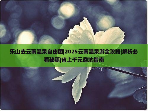 乐山去云南温泉自由团