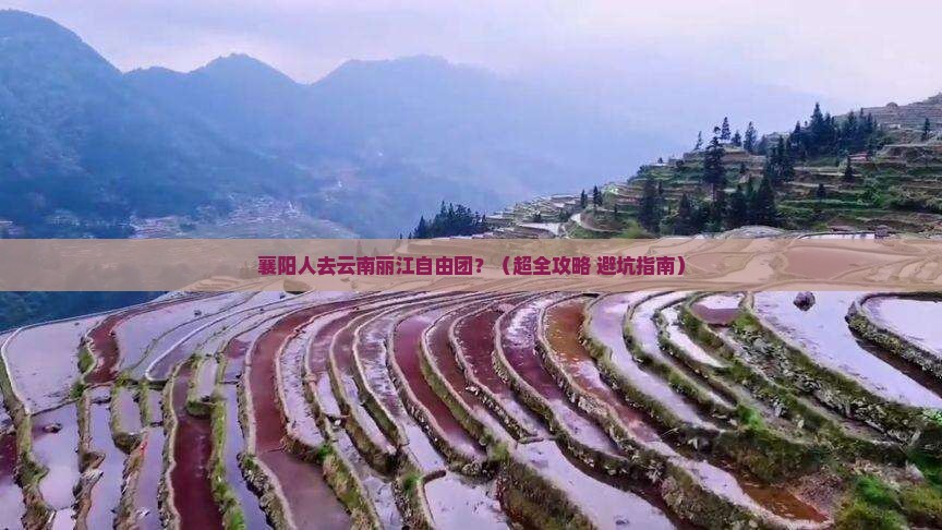 襄阳去云南丽江自由团