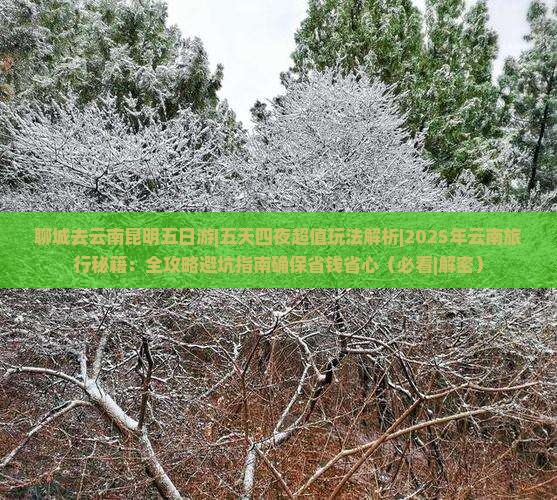 聊城去云南昆明五日游