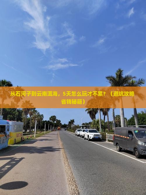 石河子到云南洱海自由团