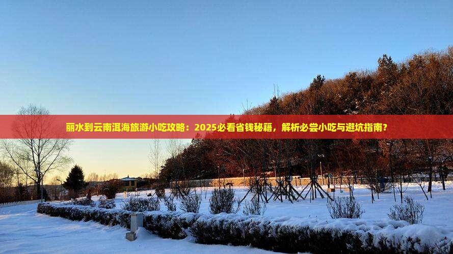 丽水到云南洱海旅游小吃