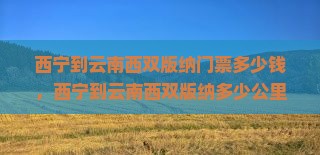 西宁到云南西双版纳门票