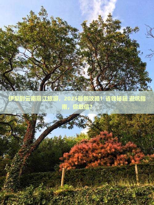 伊犁到云南丽江旅游