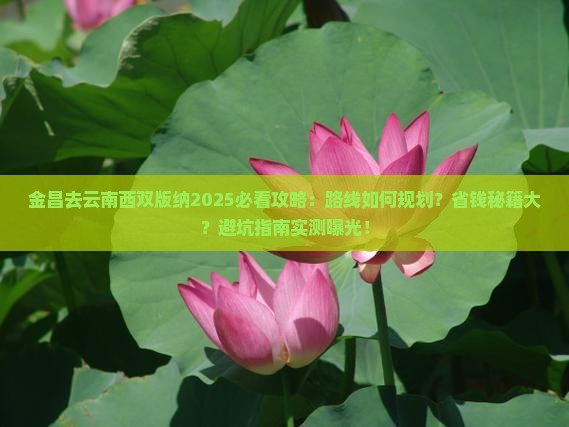 金昌去云南西双版纳攻略