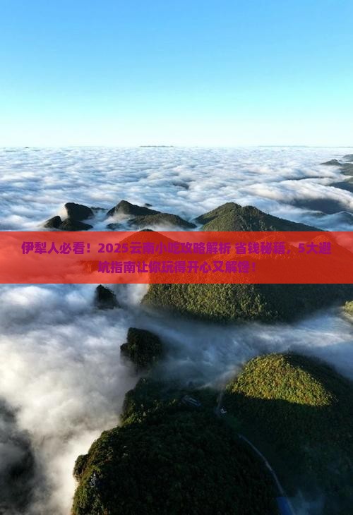 伊犁去云南旅游小吃