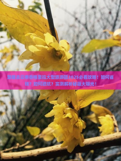 楚雄去云南香格里拉大型旅游团