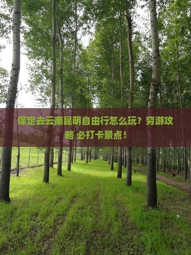 保定去云南昆明自由行