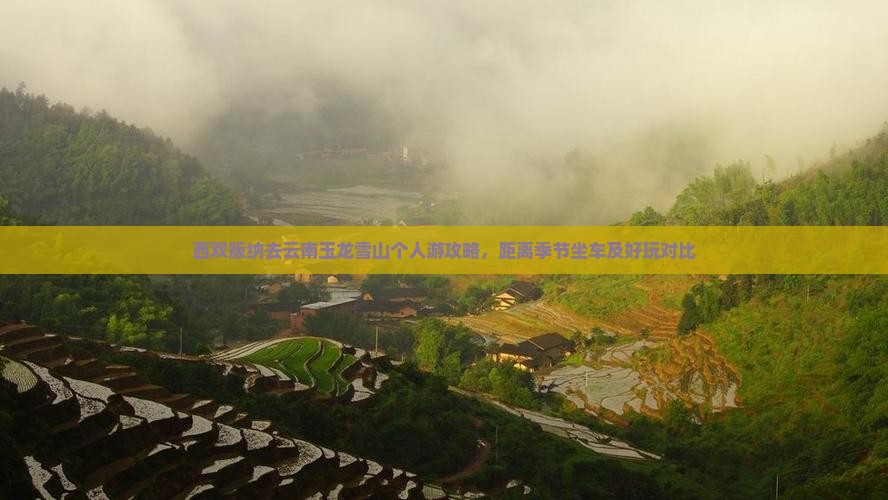 西双版纳去云南玉龙雪山个人游