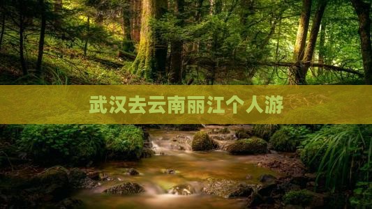 武汉去云南丽江个人游