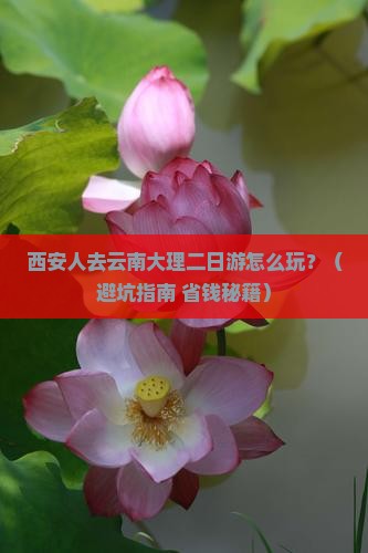 西安去云南大理二日游