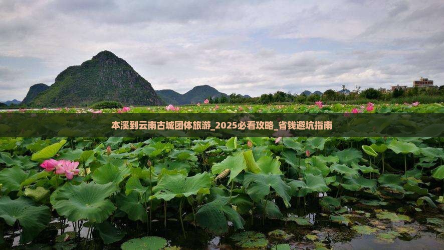 本溪到云南古城团体旅游